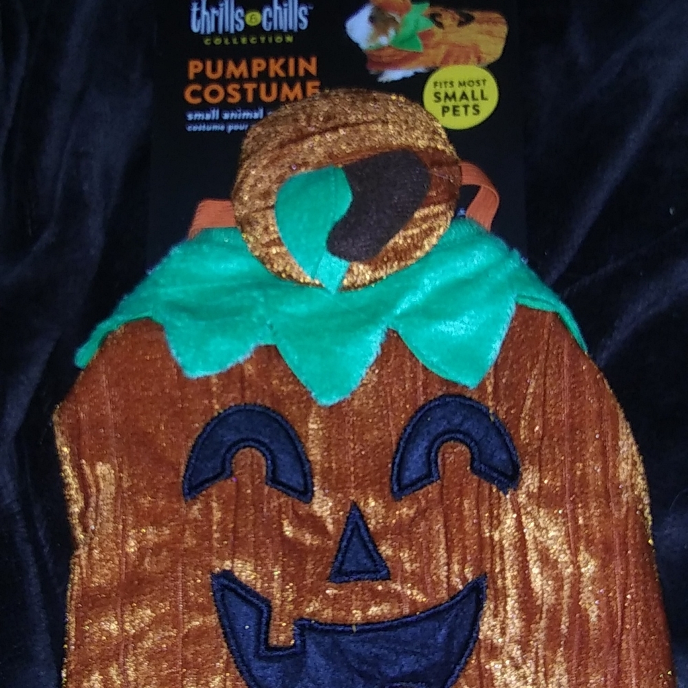 Pumpkin costume for your pets